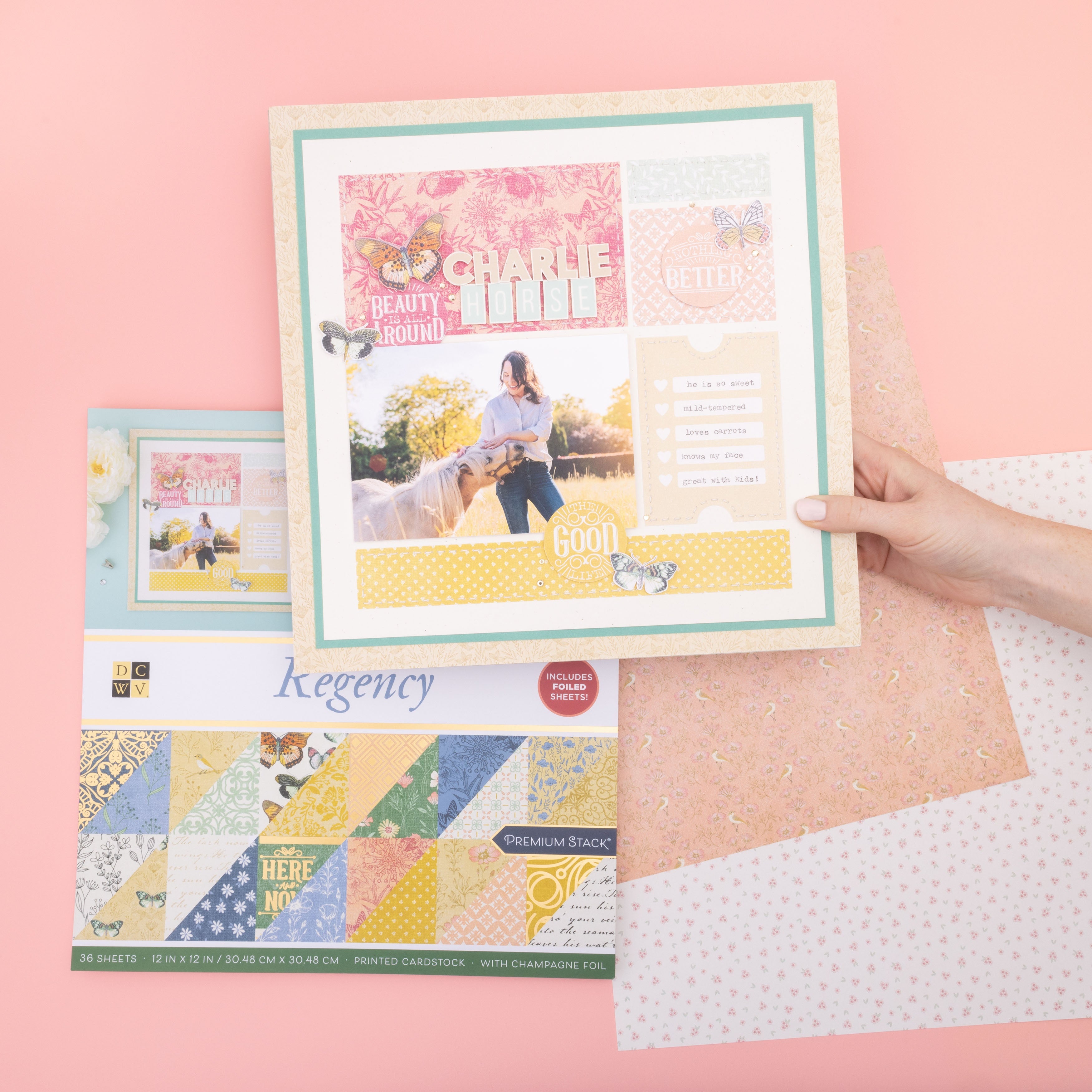 DCWV 12x12" Premium Paper Pack - Assorted Styles