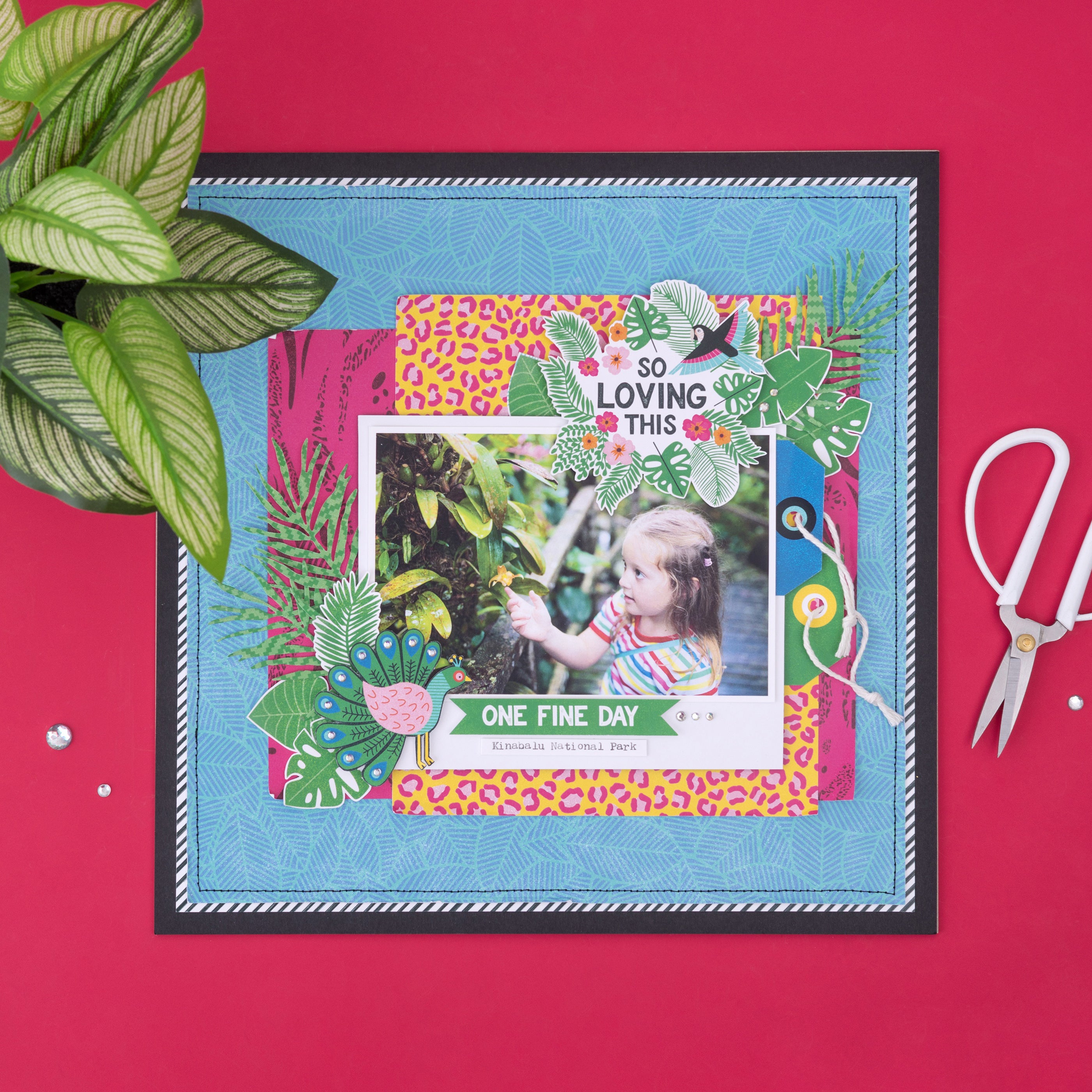 DCWV 12x12" Premium Paper Pack - Assorted Styles