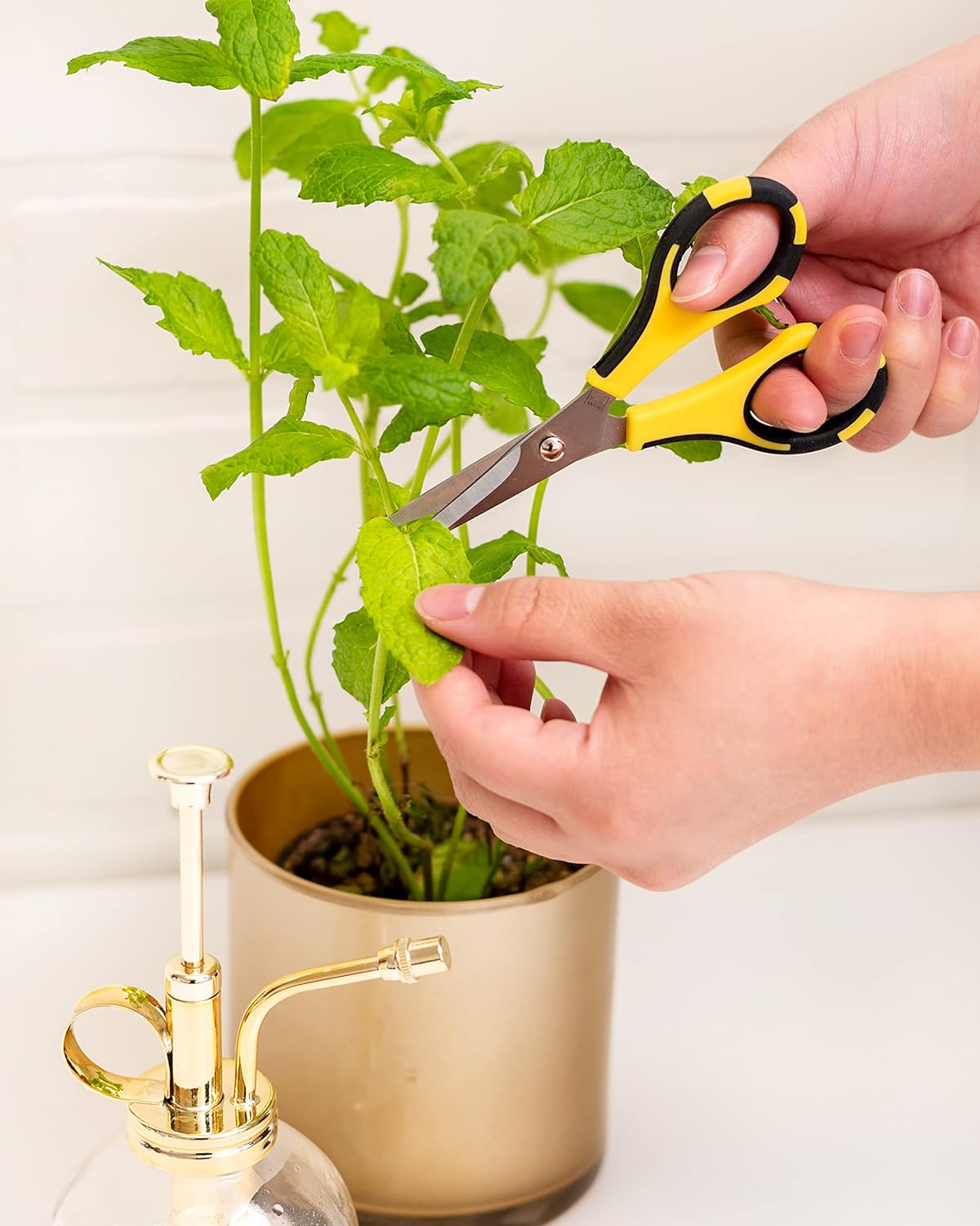 EK Tools Cutter Bee Small Precision Scissors being used to trim a plant