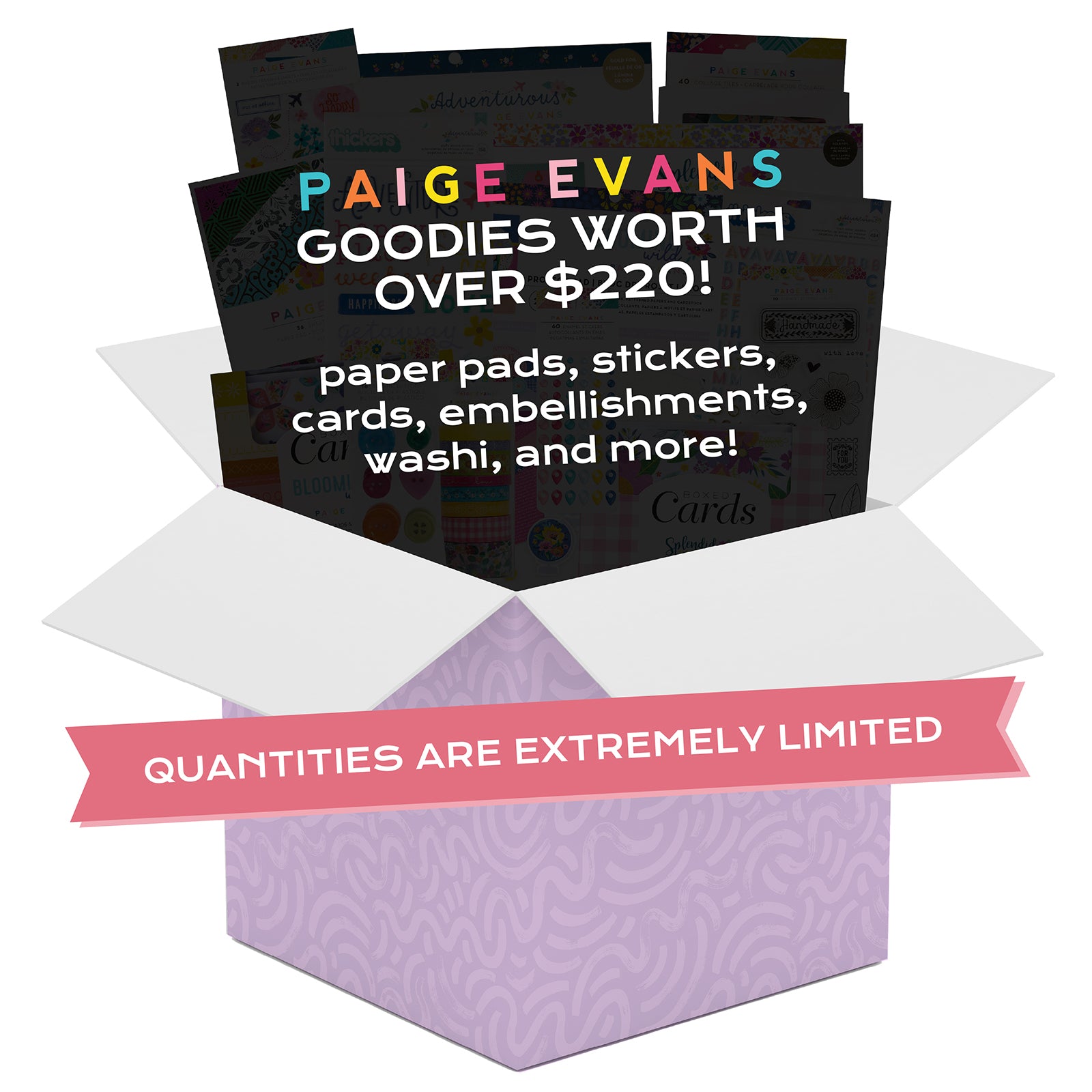 Paige Evans Mystery Box