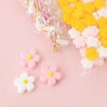 Load image into Gallery viewer, Close up of AC Sweetshop Flower Power Sprinkles Decorating Kit
