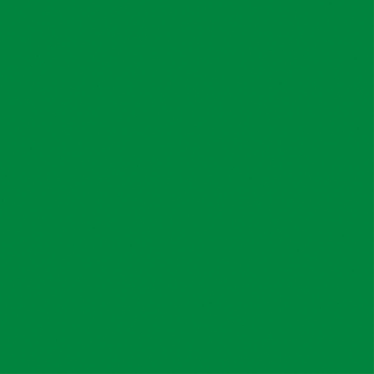 Core'dinations Core Foundations Cardstock 12"X12"-Jolly Green