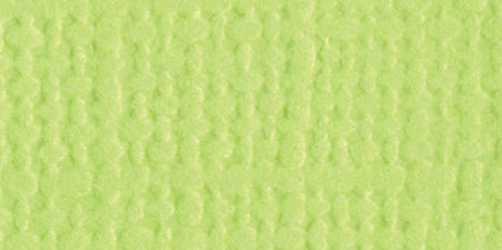 Bazzill - 12x12 Cardstock (Monochromatic) - Classic Green