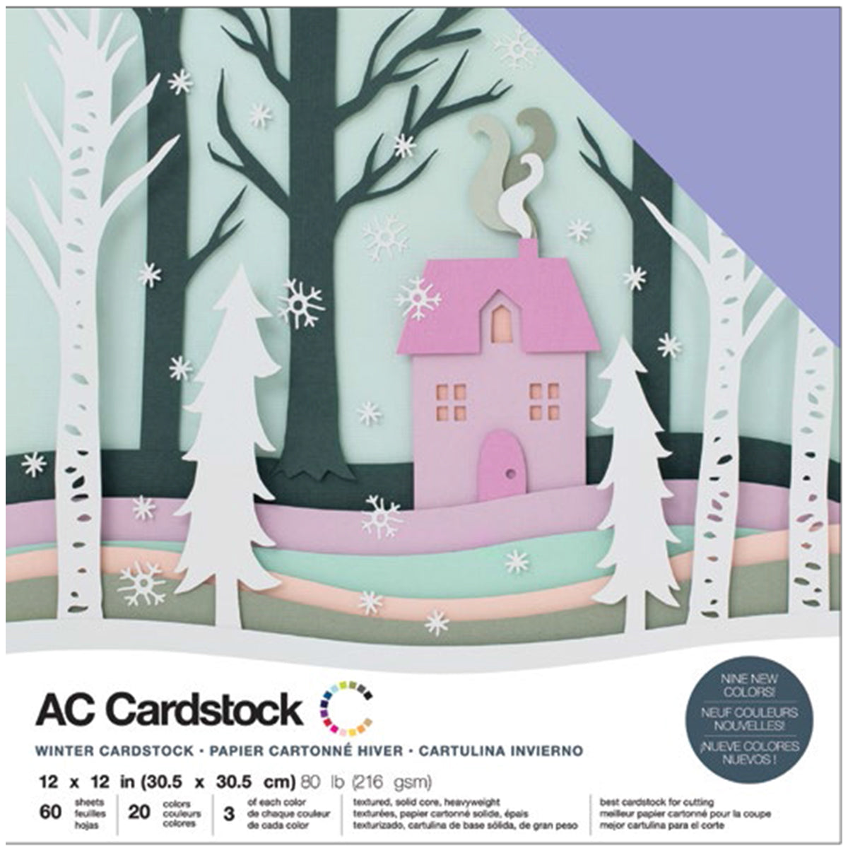 American Crafts Variety Cardstock Pack 12"X12" 60/Pkg-Winter