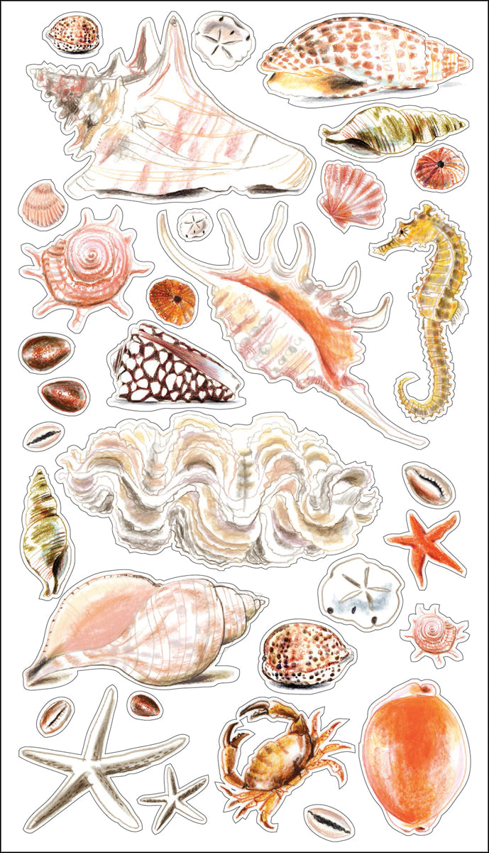 Sticko Stickers-Seashells & Sand