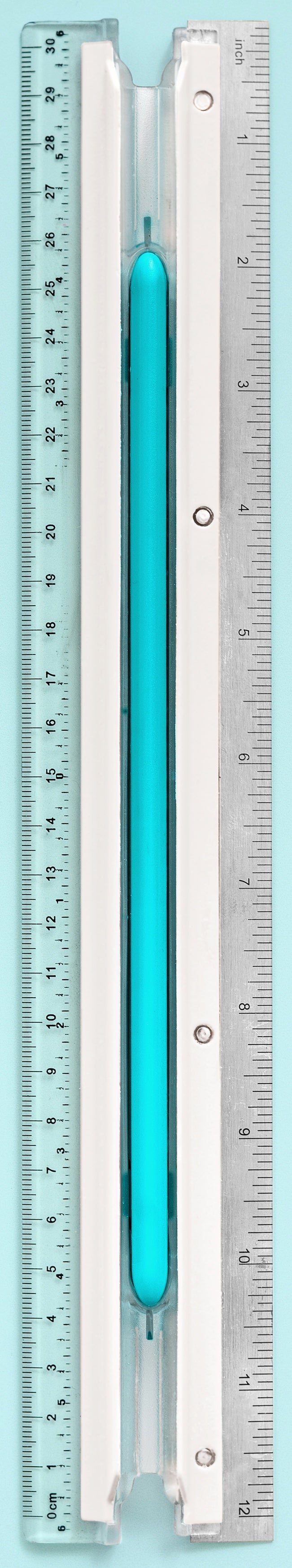 12 Inch Rulers (12ct) – US Novelty
