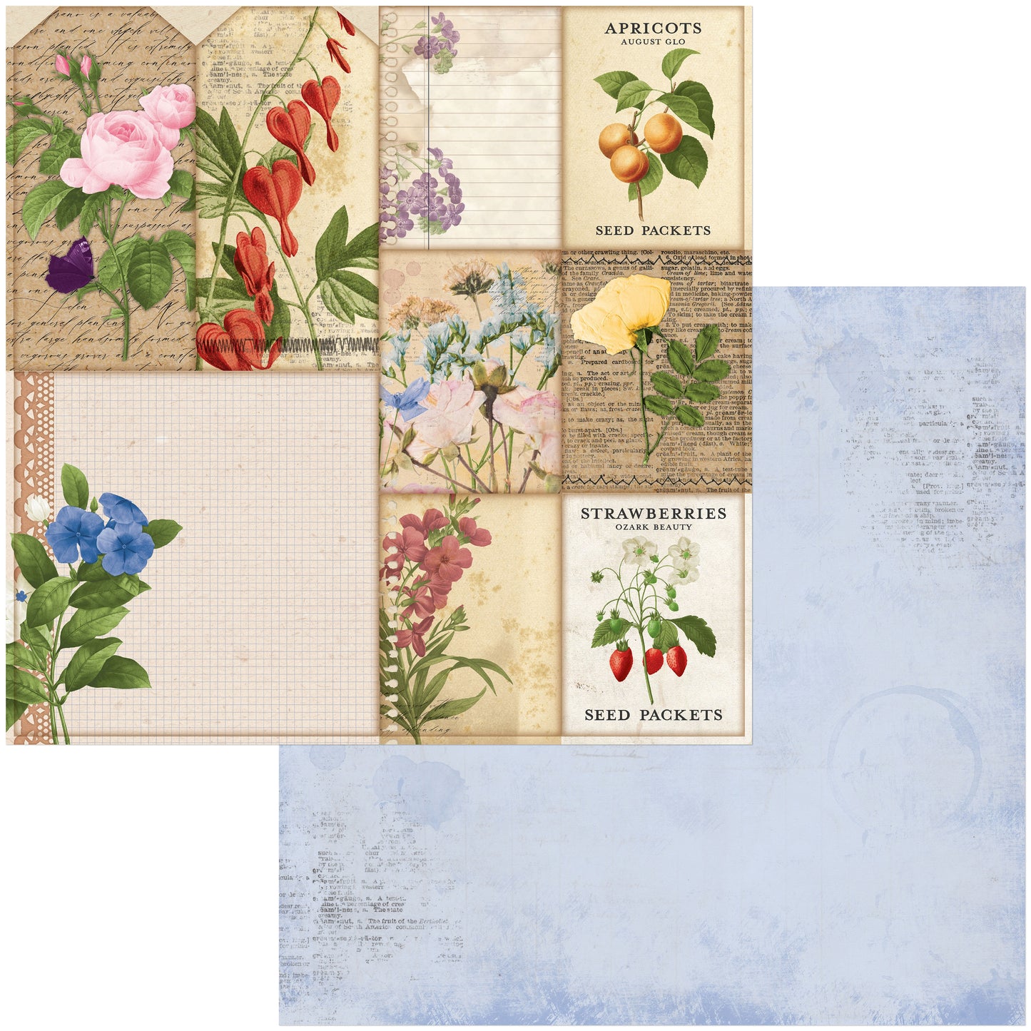 Botanical Journal Double-Sided Cardstock 12"X12"-Packets