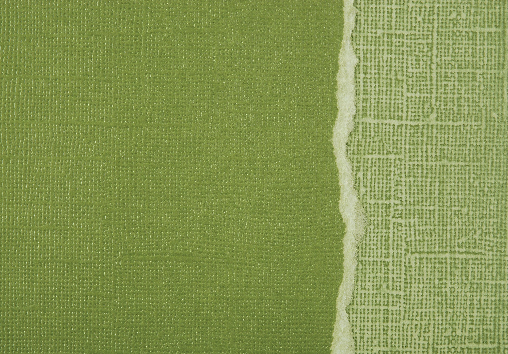 Core'dinations Sandable 12x12" Cardstock - Fern, 20 pack