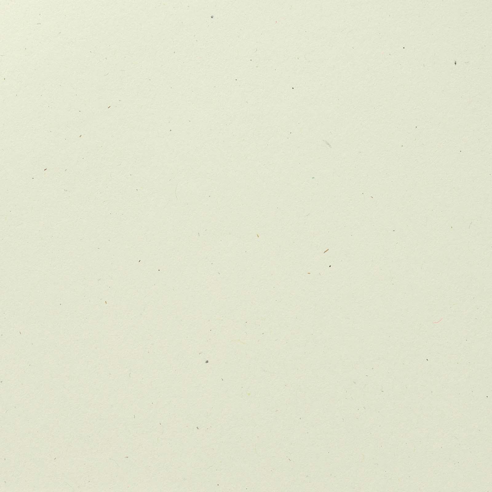 Bazzill Mono Cardstock 12x12-classic White/canvas : Target