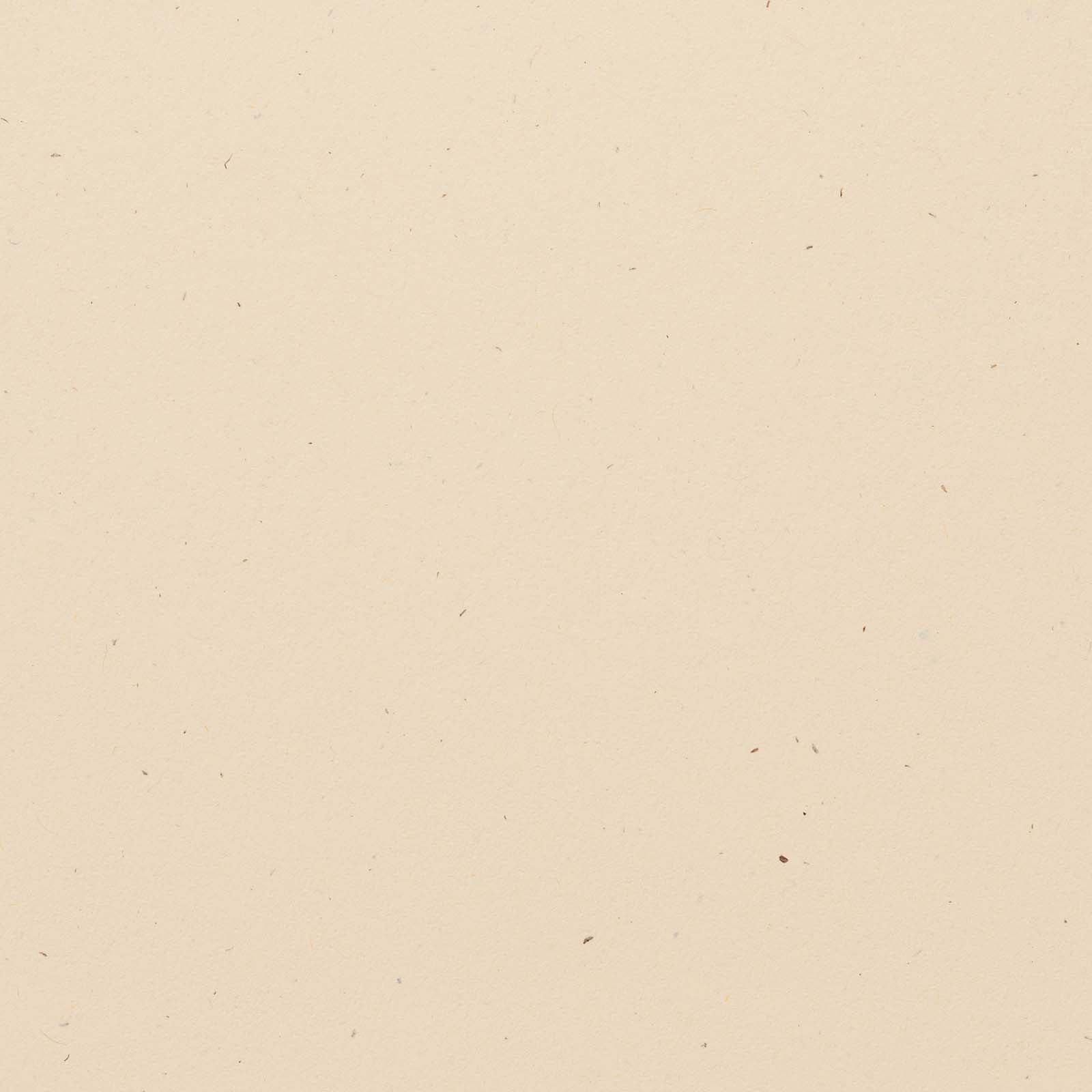 Bazzill Speckle 12x12" Cardstock Pack