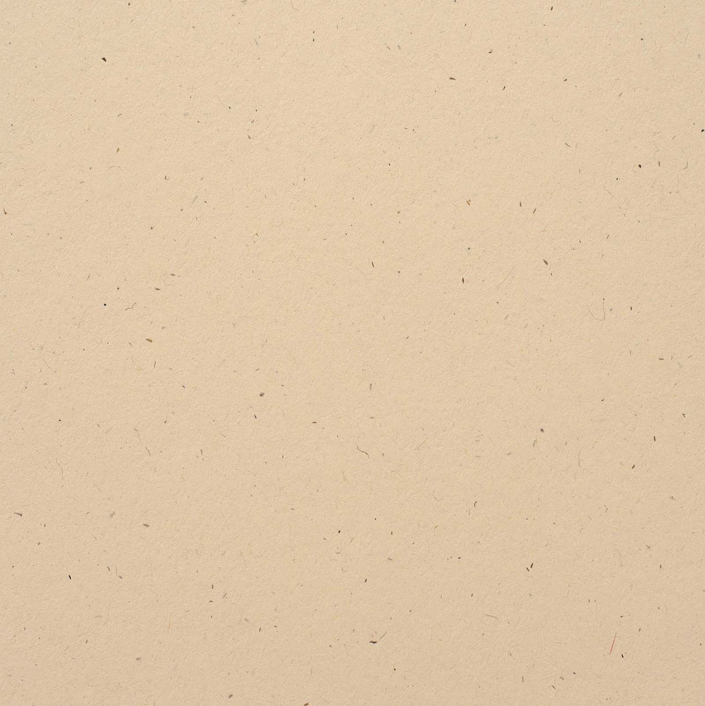 Bazzill • Speckle Cardstock 12x12 Limestone