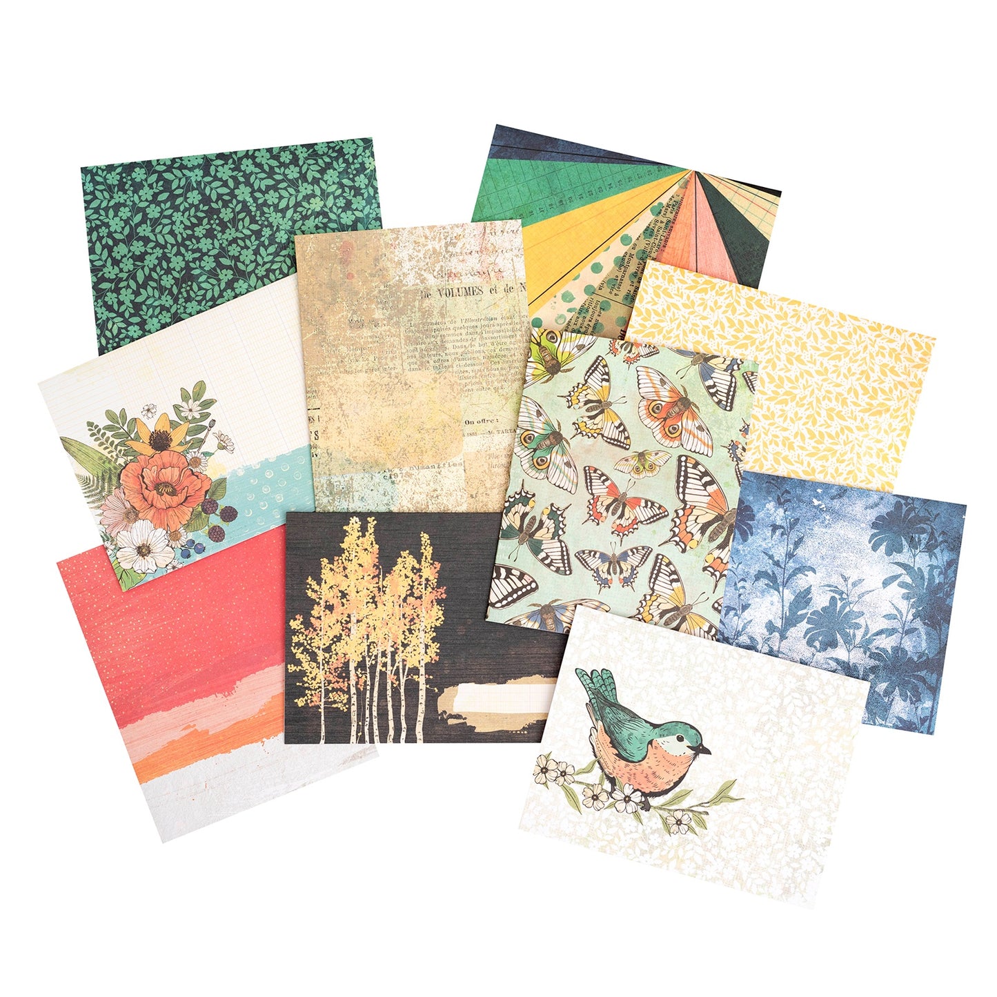 American Crafts A2 Cards W/Envelopes (4.375"X5.75") 40/Box-Vicki Boutin Fernwood